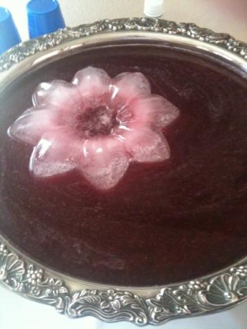 Raspberry Punch with decorative ice ring